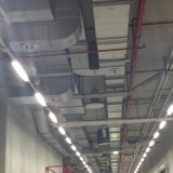 IMG_0066-1